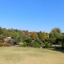 혁신8로 이미지