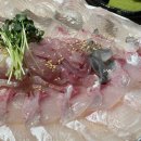 계절따라 | 부산 양정 횟집 철 따라 계절 따라 내돈내산 후기