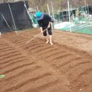 김찬형생활건강