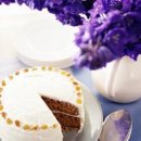 빠띠쉐의 꿈 이미지