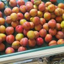 혜영농장 이미지