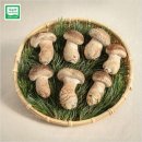 송화푸드 네이버블로그