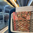 유튜브영상촬영장비 바로알기 | 유튜브 <가든패밀리> 촬영하고 왔어요 :)