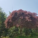 남송농원 이미지