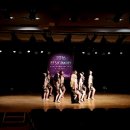 ﻿2016 El Sa'awah International Bellydance Festival _ Professional Group WINNER 이미지