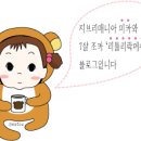 신발짱쌈지 이미지