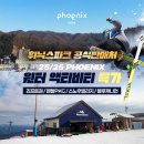 휘닉스파크 이미지