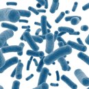 강동천호정형외과의원 이미지