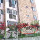 유림-1050 이미지