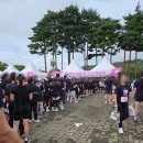 뉴트리뱅크 | 서울마라톤 2025 핑크런 5km 참가 후기