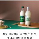 장수 생막걸리의 비밀 이미지