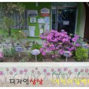 노고산어린이집 이미지