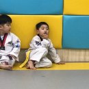 서초용인대태권도