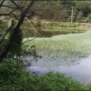 동제공인중개사사무소 이미지