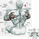 Zerone Gym 네이버블로그