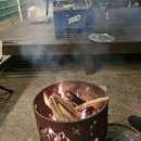 카라반베이캠핑장 | [용인] 아이와 함께한 감성 캠핑, 에버베이카라반 당일 피크닉 후기 🏕️