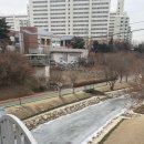 햇님청과