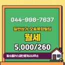 황소공인중개사사무소 이미지