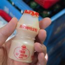 숯불대구막창 - 여주시 | 전현무계획으로 유명해진 대구 막창 맛집 진해숯불막창 오픈런 후기