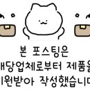 르솔레이글로벌