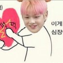 꽁냥꽁냥 이미지