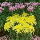 신의행정사 사무소 이미지