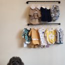 금쪽같은내강아지수제간식 이미지