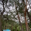 솔봉펜션 이미지