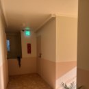 스테이카루 여성전용 이미지