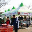 영암하나로클럽 이미지