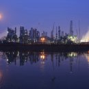 주식회사 민트솔루션 이미지