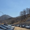 간단한 테이핑 및 마사지 | 2026 여수 영취산 진달래 트레일 레이스 참여 후기