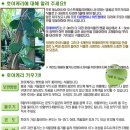 호야문구
