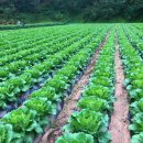 덕산뚜드리마을 이미지