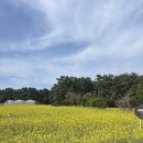 w-10 | w 10. 제주스냅후기 - 제주와당신 유라작가 (단숨&amp;네르비 패키지)