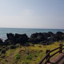 선인민박 이미지