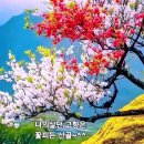 예쁜 이미지 사랑합니다. 이미지