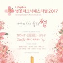 벚꽃플러스 이미지