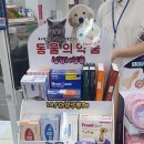 대구종합약국 이미지