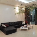 강남비비의원 이미지