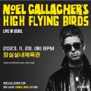 하이플라잉 티스토리