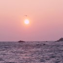 동해일출 이미지