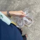 가을이 오려나 보다