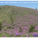 제암산-사자산-일림산 종주산행(2014년 5월3일,토요일.다물종주클럽과 함께 조우산행) 이미지