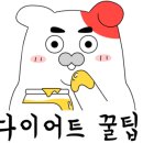 야당점핑다이어트