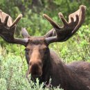 (주)야생 이미지