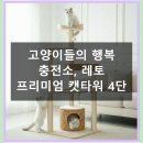 레토 | 레토 프리미엄 추천｜프리미엄 캣타워 실제 후기