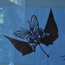 강원도자연환경연구공원 이미지