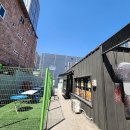 대구예전우시장 이미지