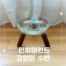 두나컴퍼니 | 내돈내산 고양이 수반 추천 | 인히어런트 오레오글라스